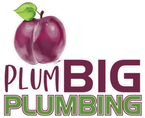 Plumbig-Plumbing-Logo-wht