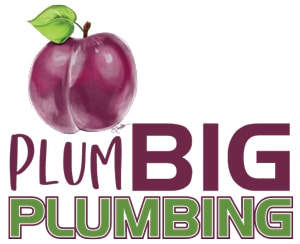 PlumBIG Plumbing LLC Logo